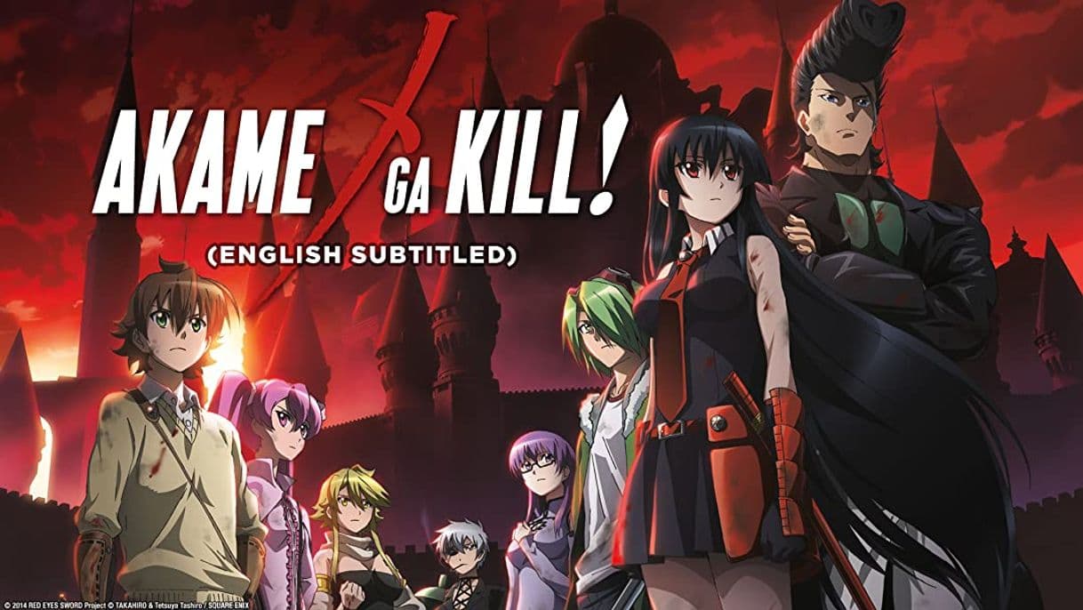 Serie Akame ga Kill!