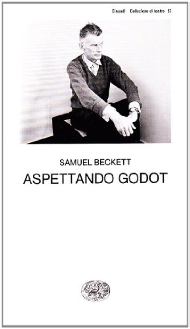 Book Aspettando Godot