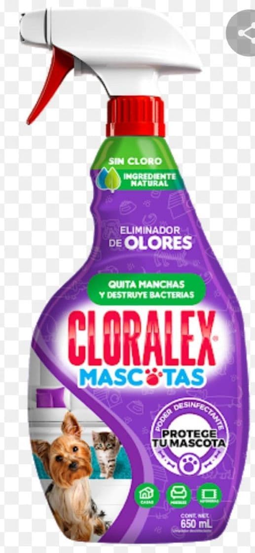 Fashion 💠 Cloralex

Mascotas Eliminador de Olores

