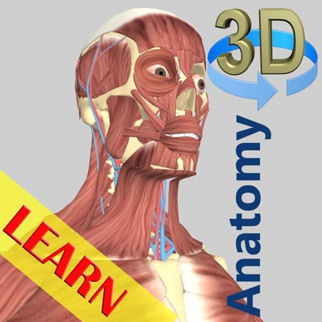 App 3D Anatomy Learning