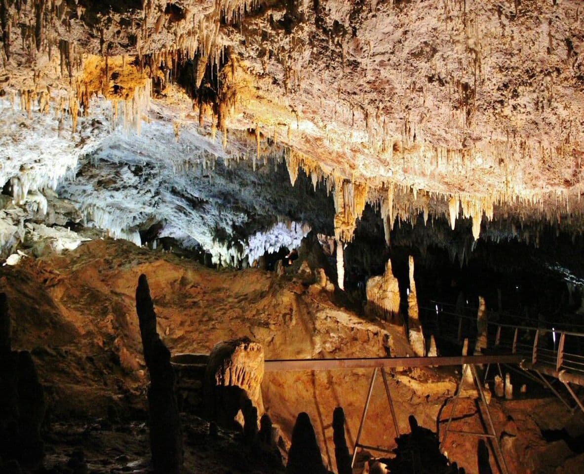 Place Cuevas Del Soplao