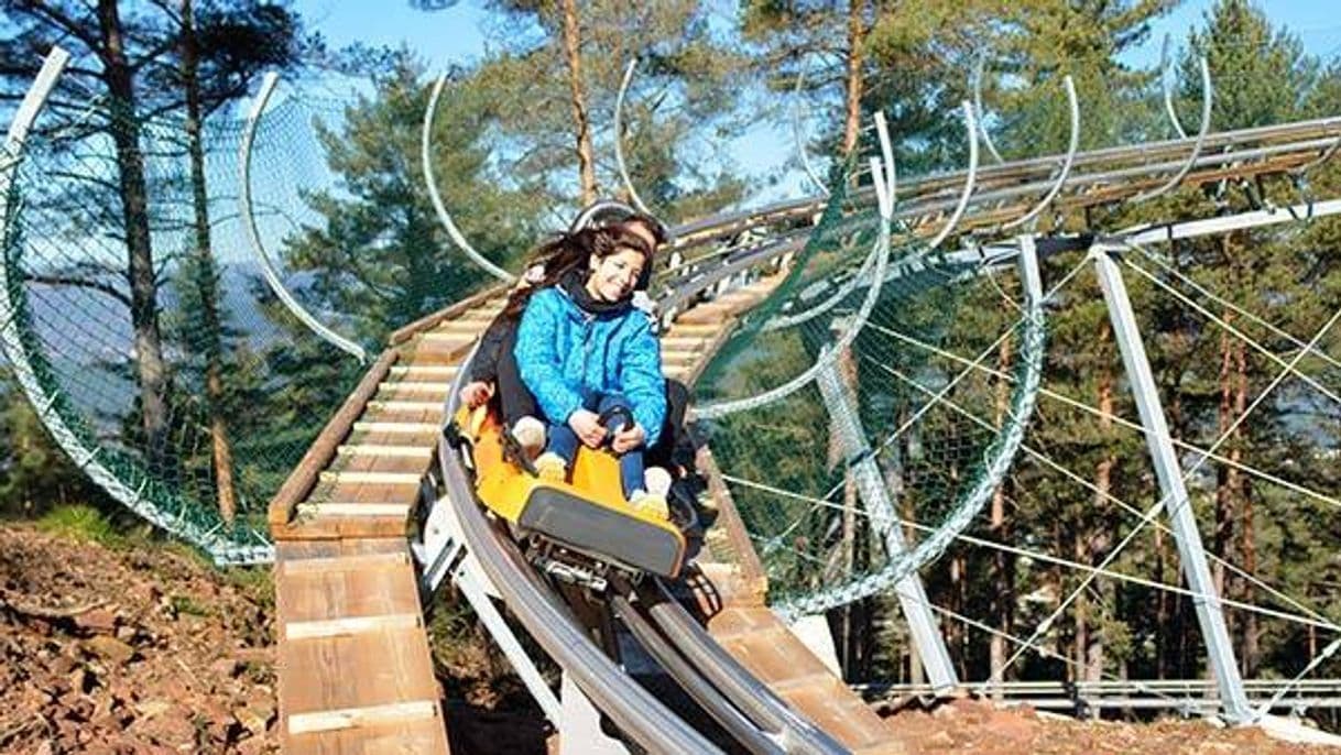 Moda Alpine Coaster