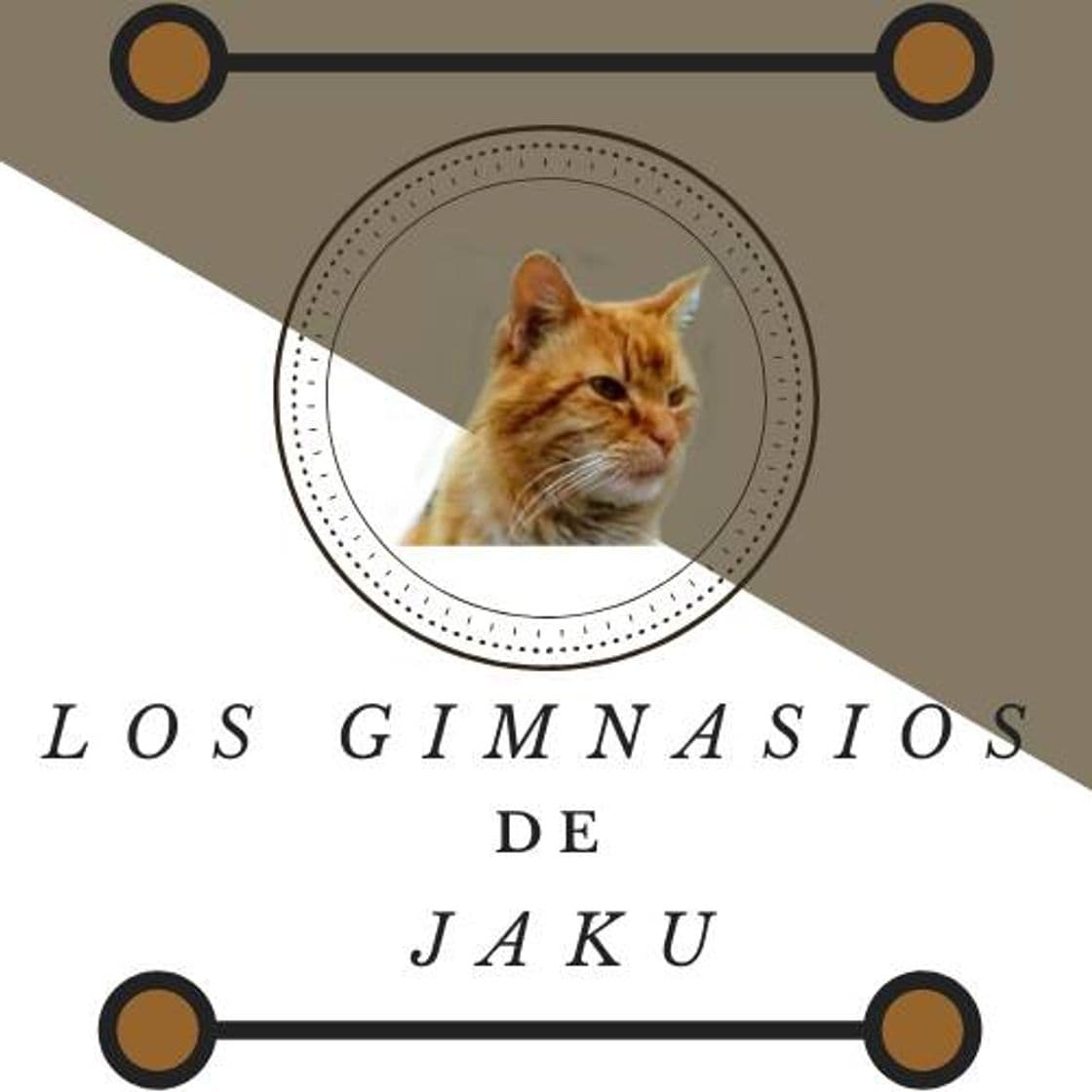 Fashion Los gimnasios de Jaku