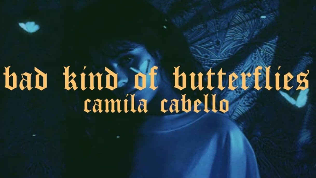 Canción Bad Kind of Butterflies