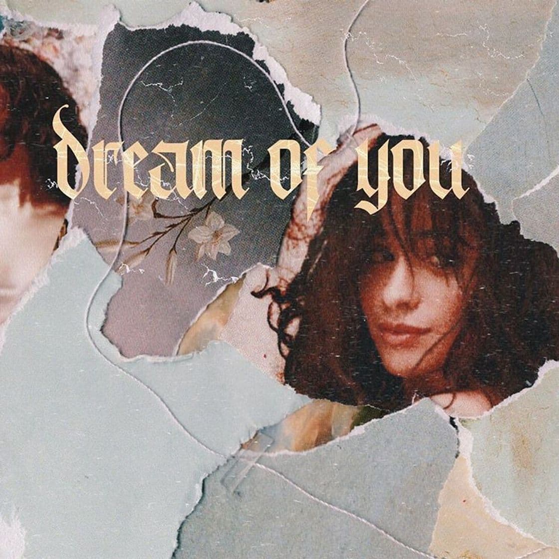 Canción Dream of You