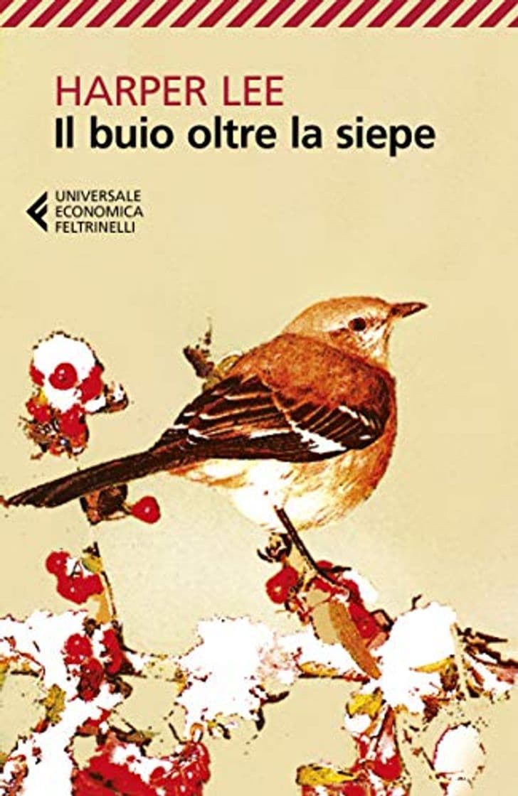 Book Il buio oltre la siepe