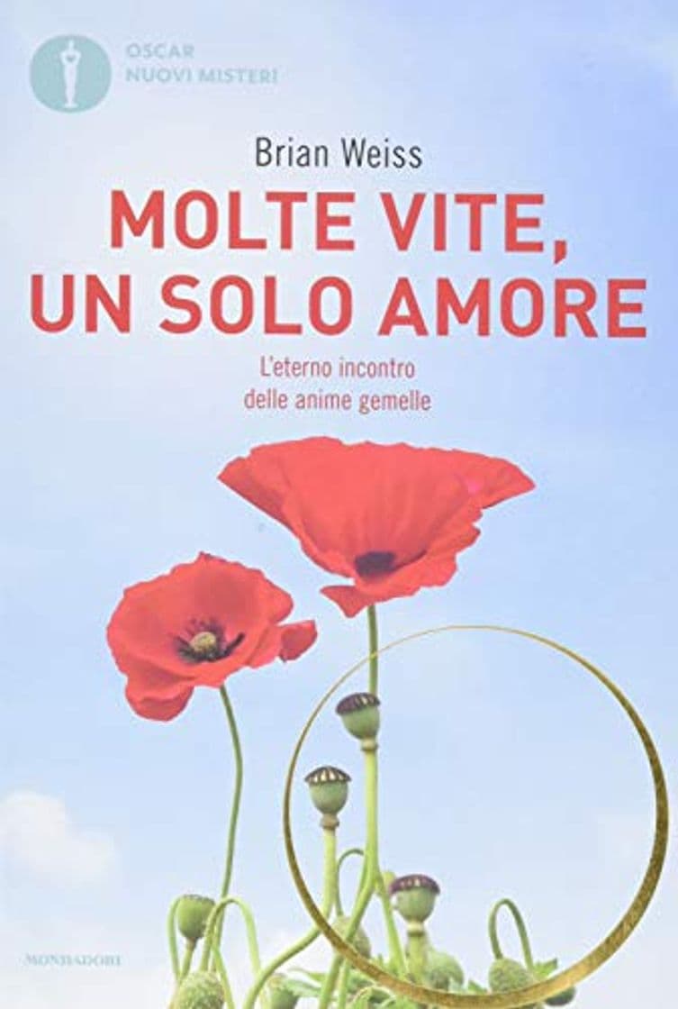 Book Molte vite, un solo amore. L'eterno incontro delle anime gemelle