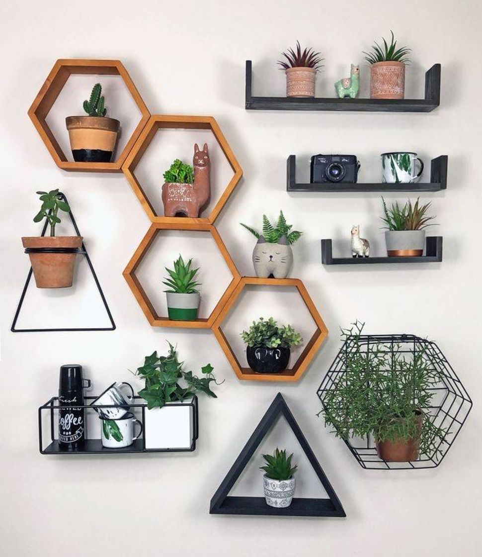 Moda 🌻Decoração + Plantas🌻