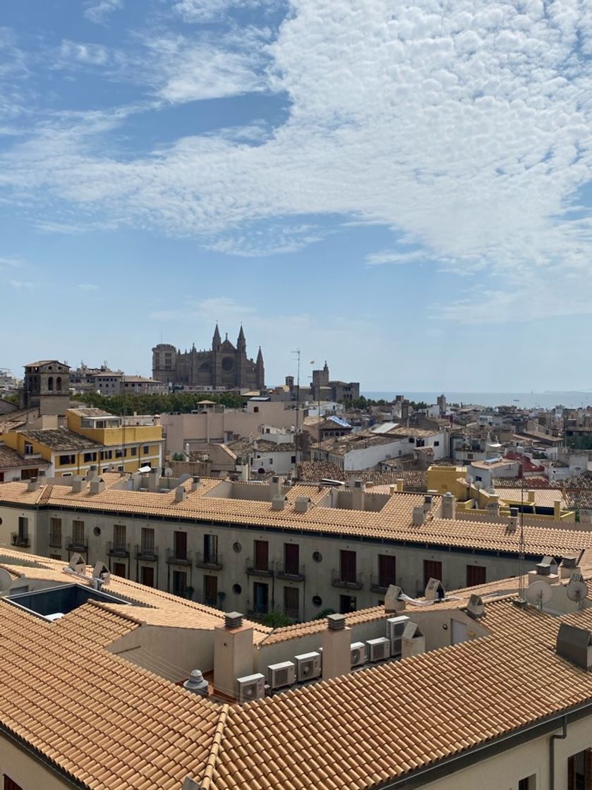 Lugar Palma de Mallorca