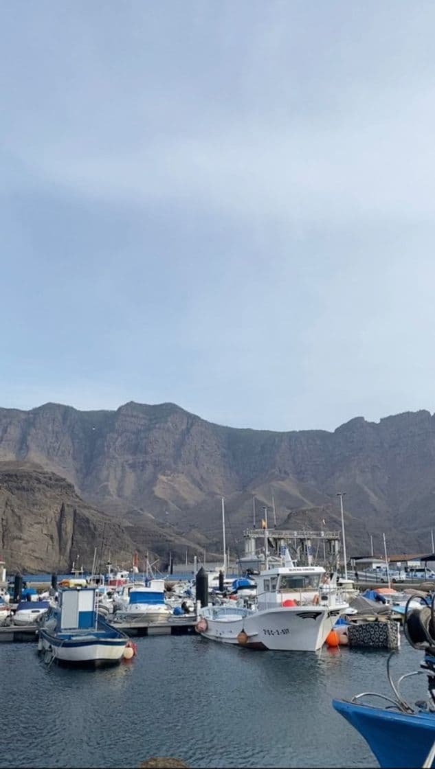 Moda Fred. Olsen. Ferry y barcos en canarias. Transporte maritimo de ...