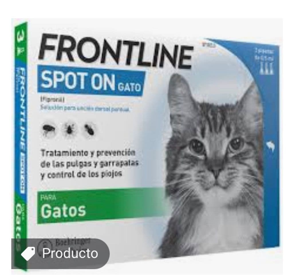 Fashion pipetas antipulgas gatos 