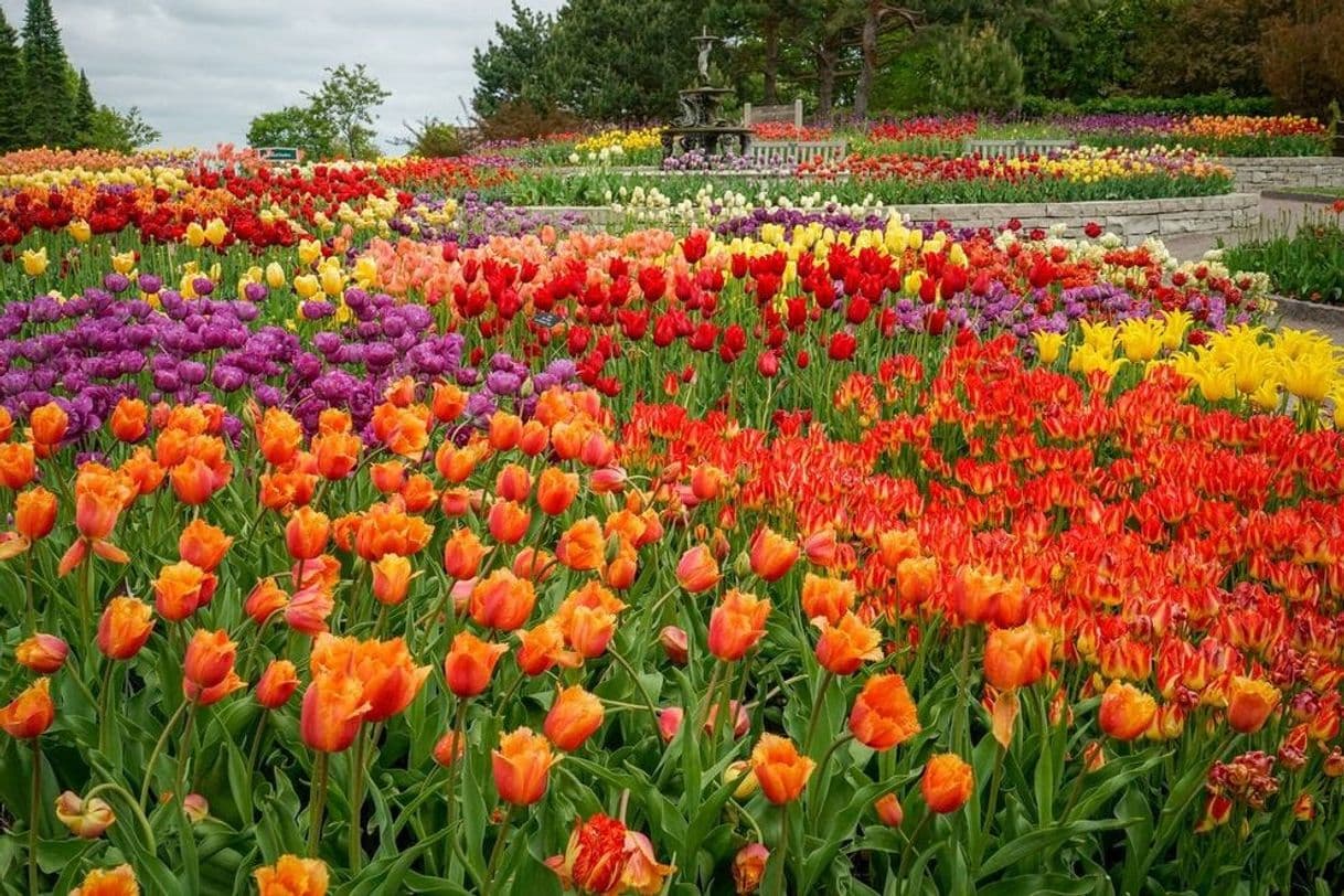 Lugar Minnesota Landscape Arboretum