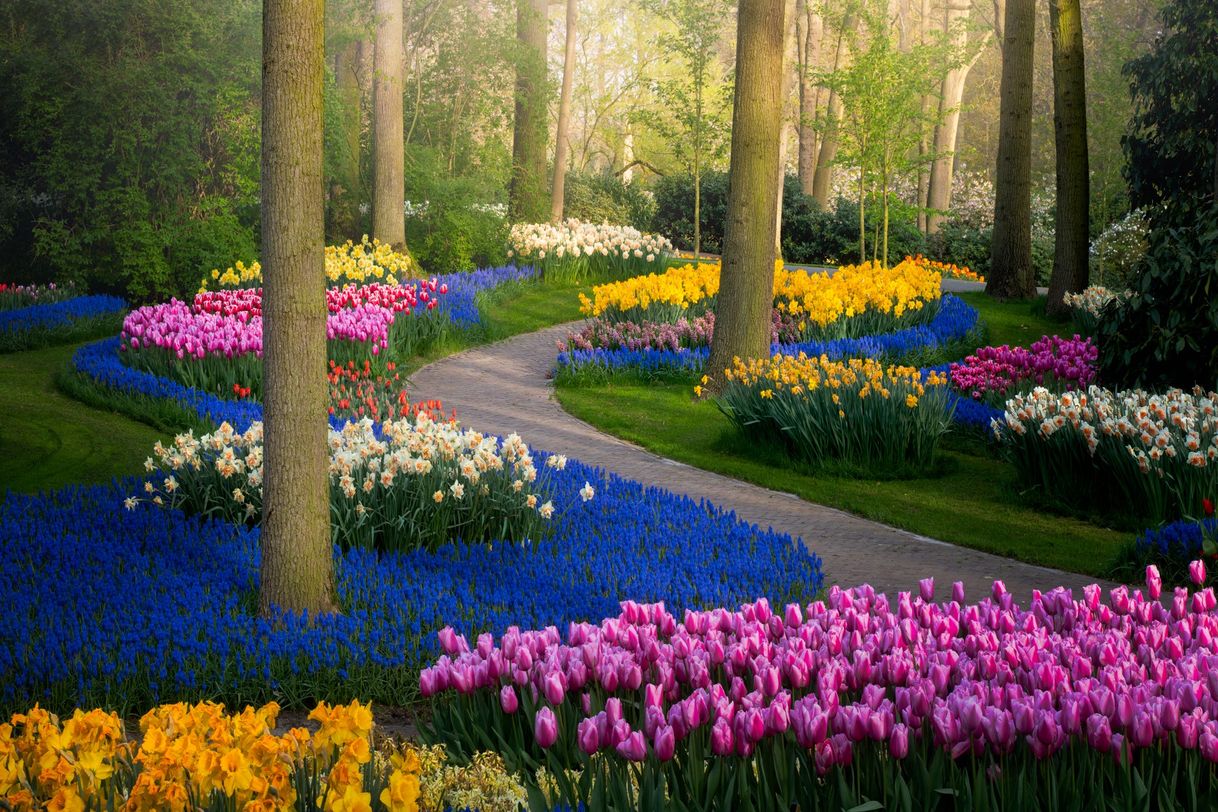 Lugar Keukenhof