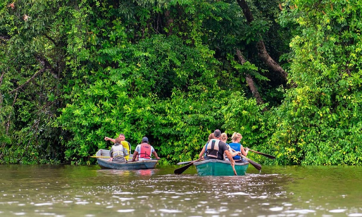 Lugar Tortuguero National Park