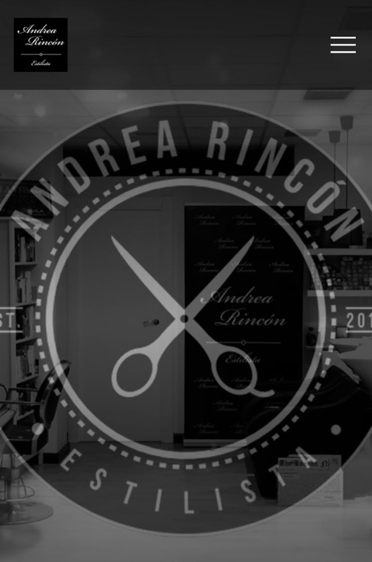 Producto Andrea Rincón Estilista · Peluquería en Zamora · Barber Shop