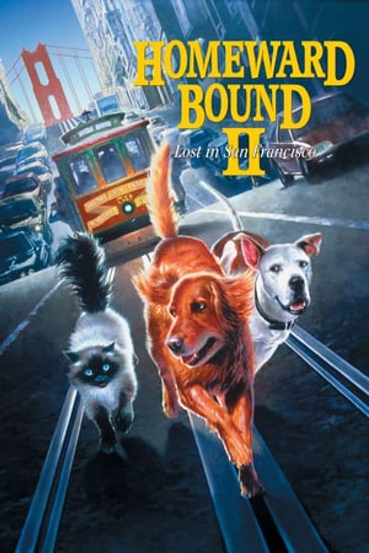 Movie Homeward Bound II: Lost in San Francisco