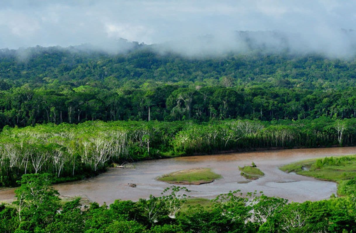 Lugar Madidi National Park