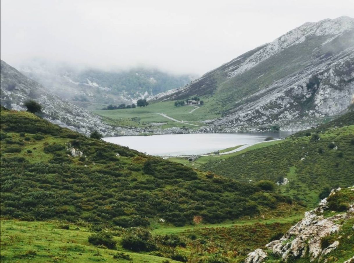 Place Lagos de Covadonga