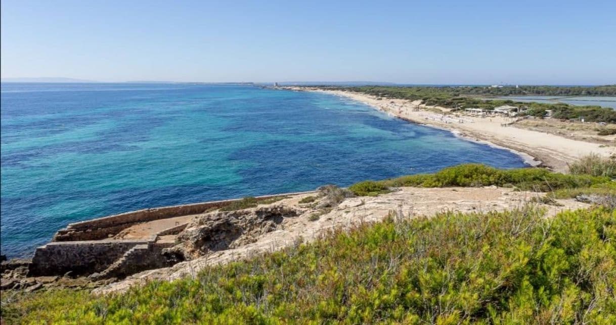 Lugar Platja des Cavallet