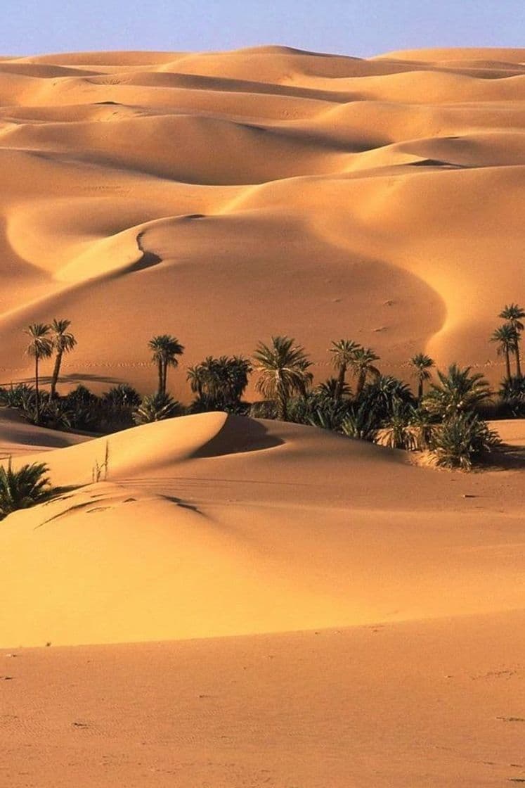 Place Sahara Desert