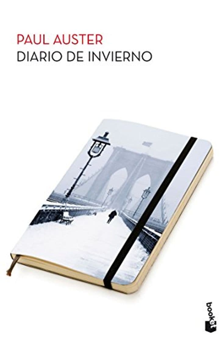 Libro Diario de invierno