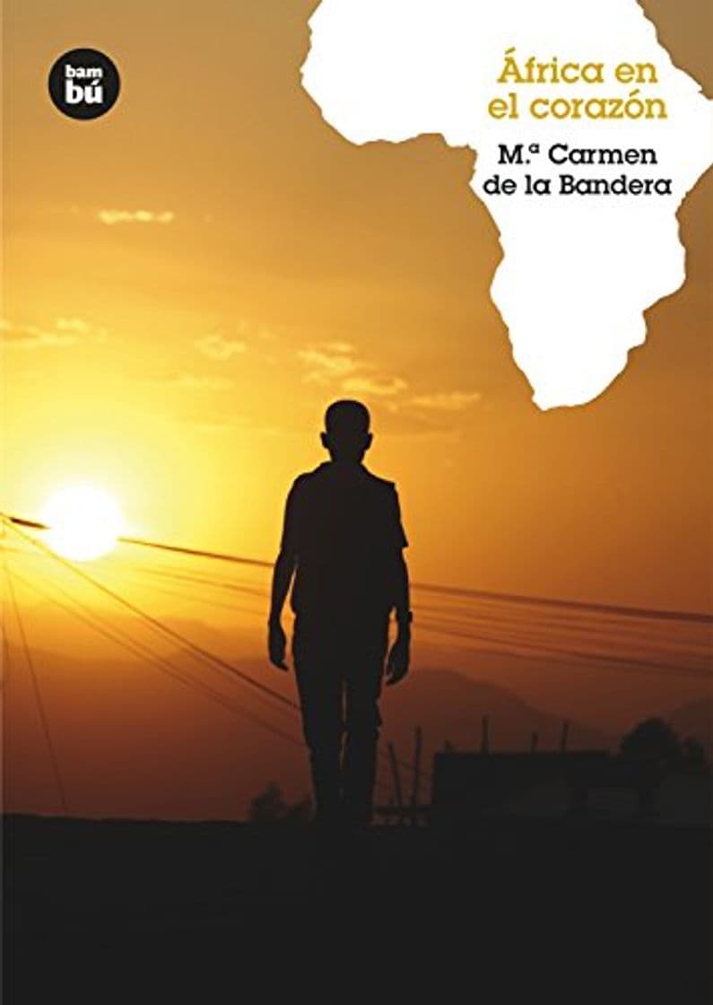 Book África en el corazón