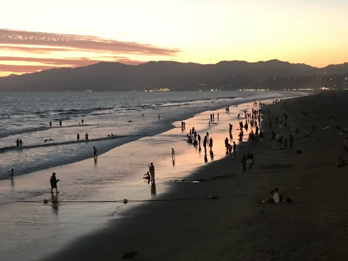 Place Santa Monica State Beach