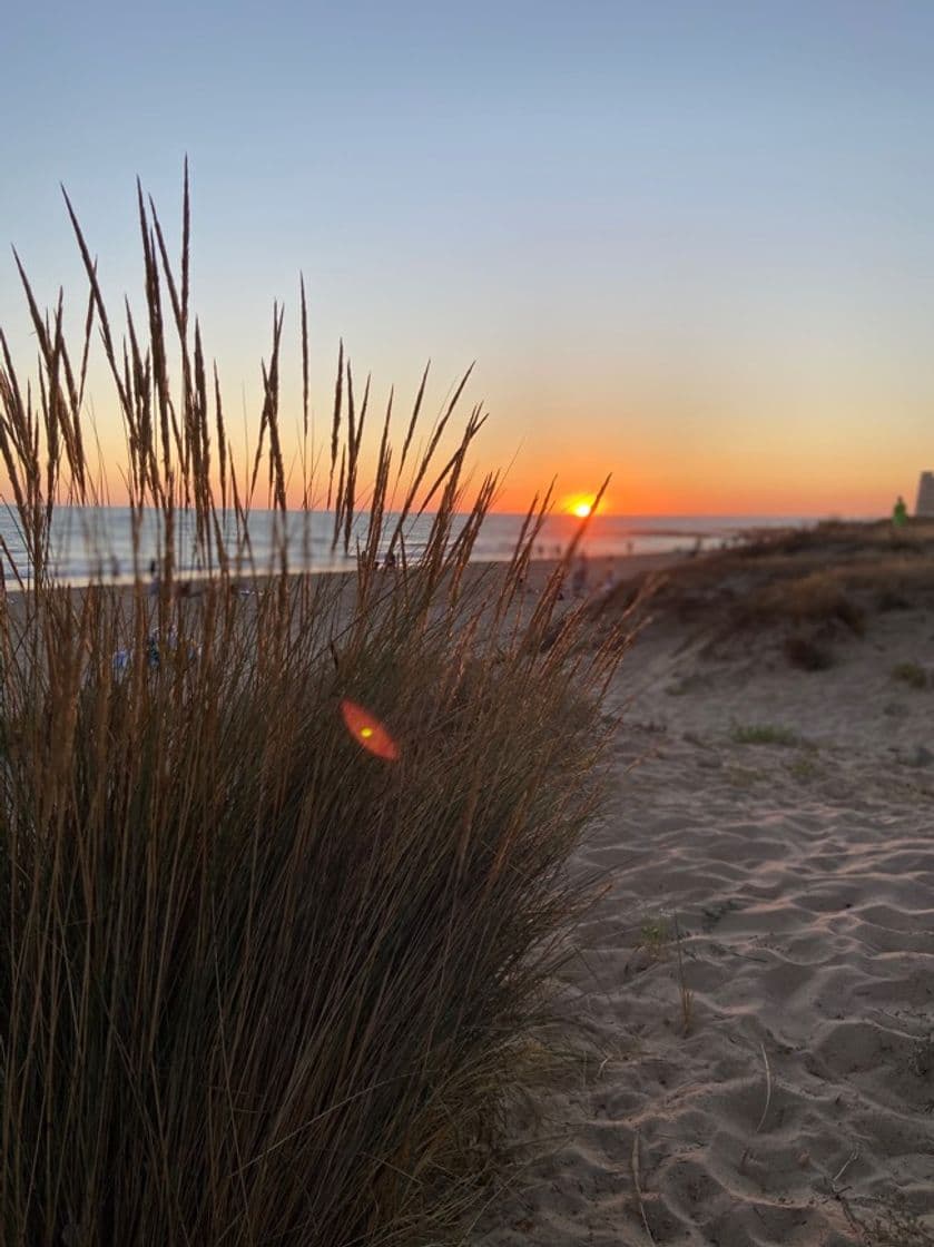 Lugar Playa del Palmar