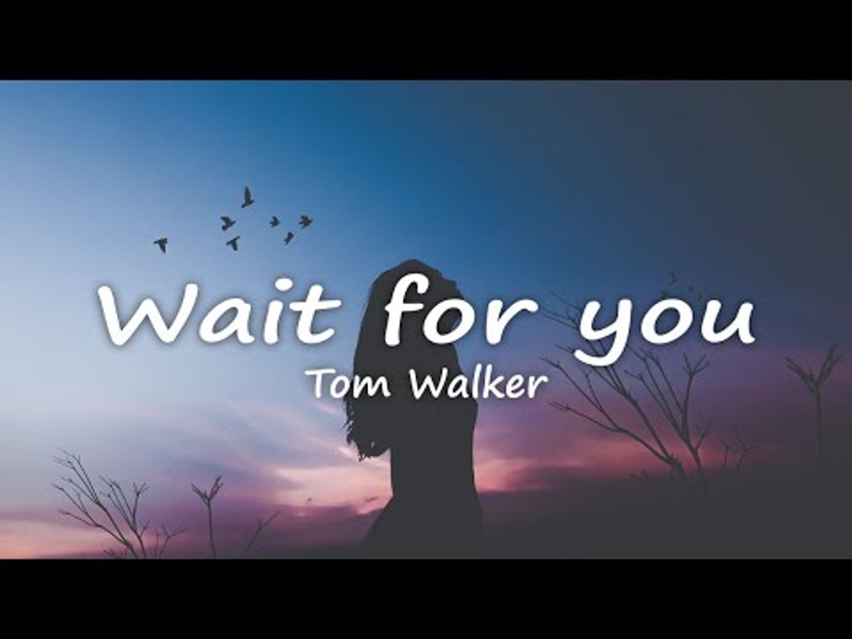 Music Tom Walker - Wait for You (Official Video) - YouTube