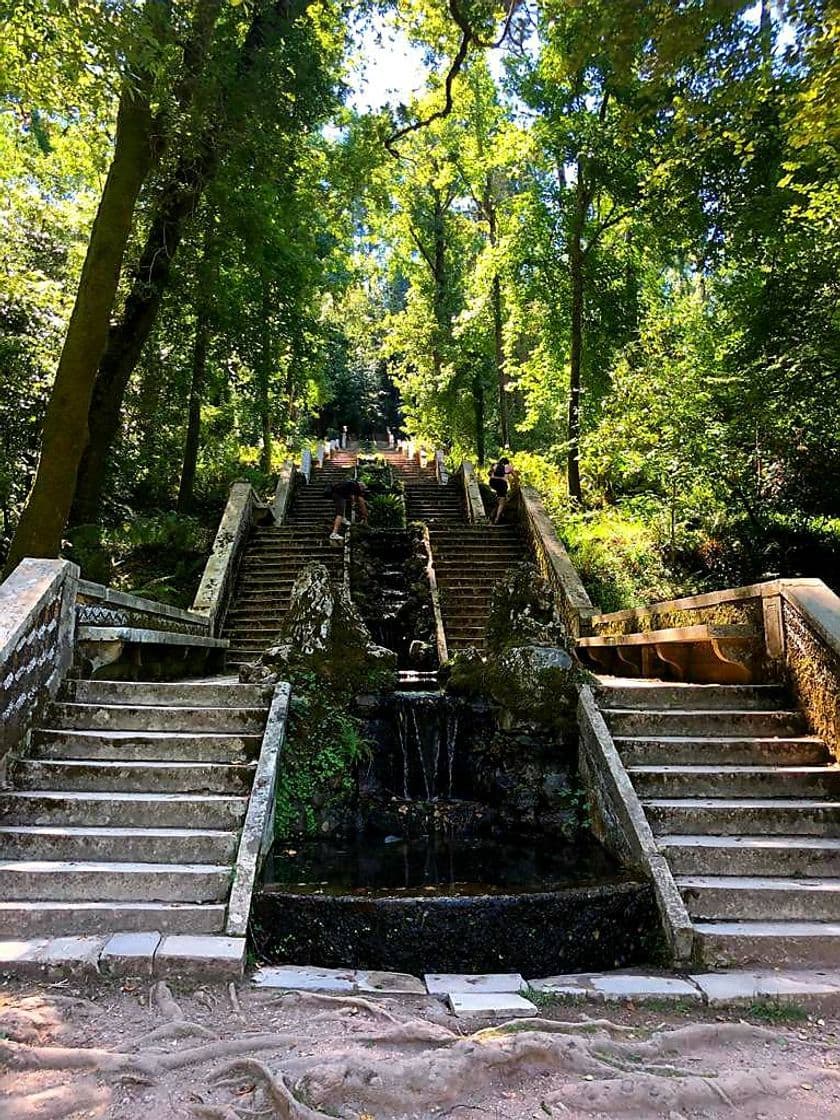 Place Mata Nacional do Buçaco