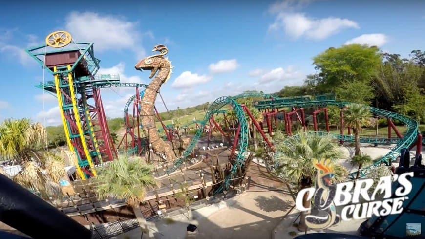 Place Busch Gardens Tampa Bay