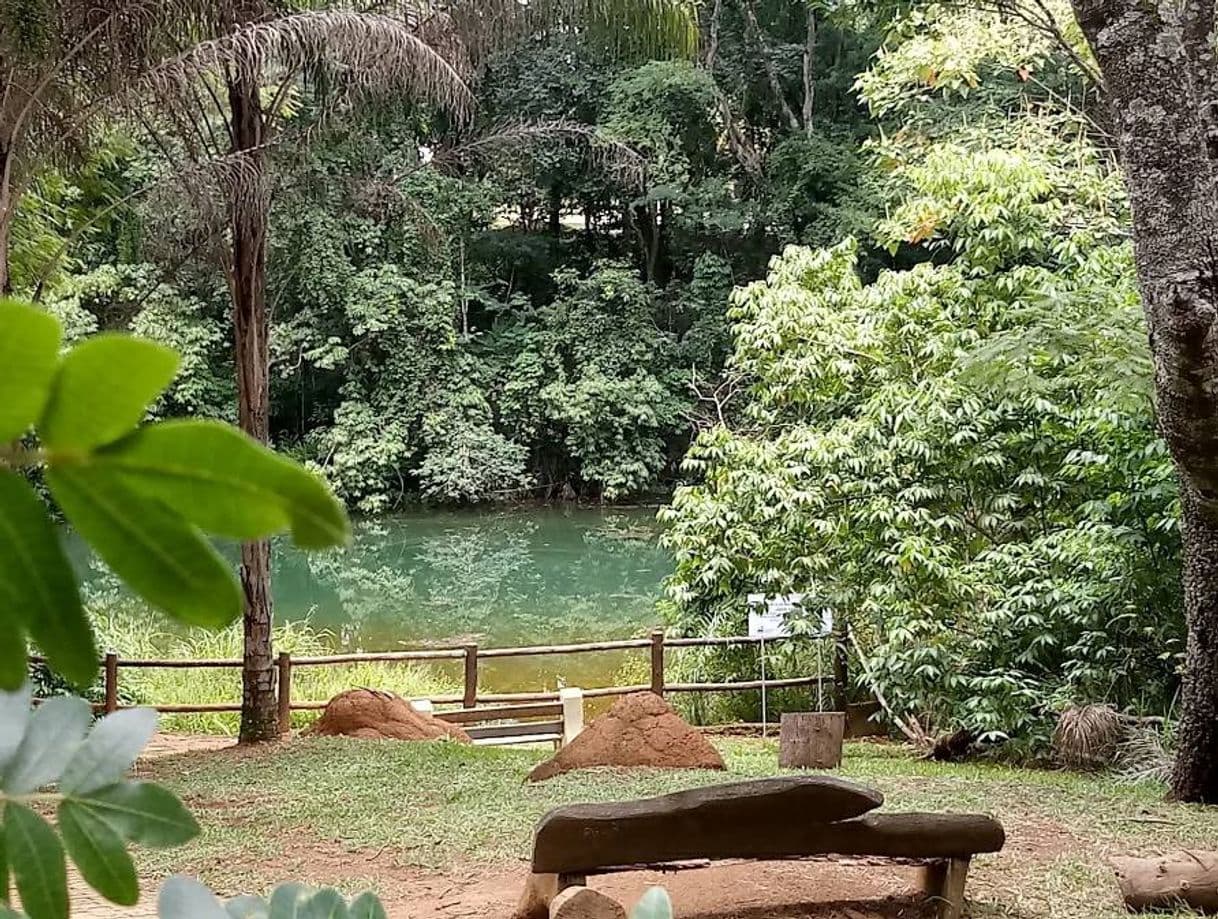 Lugar Parque Olhos D'Água