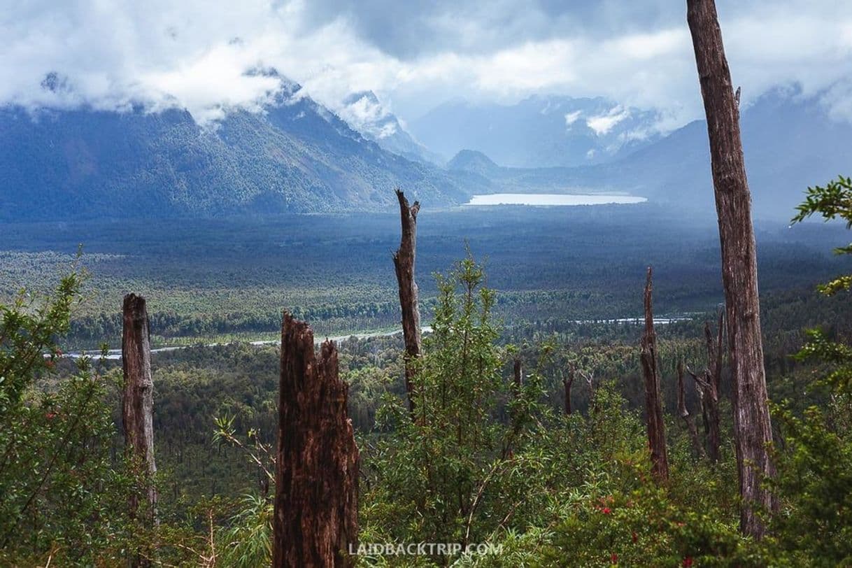 Lugar Parque Pumalin