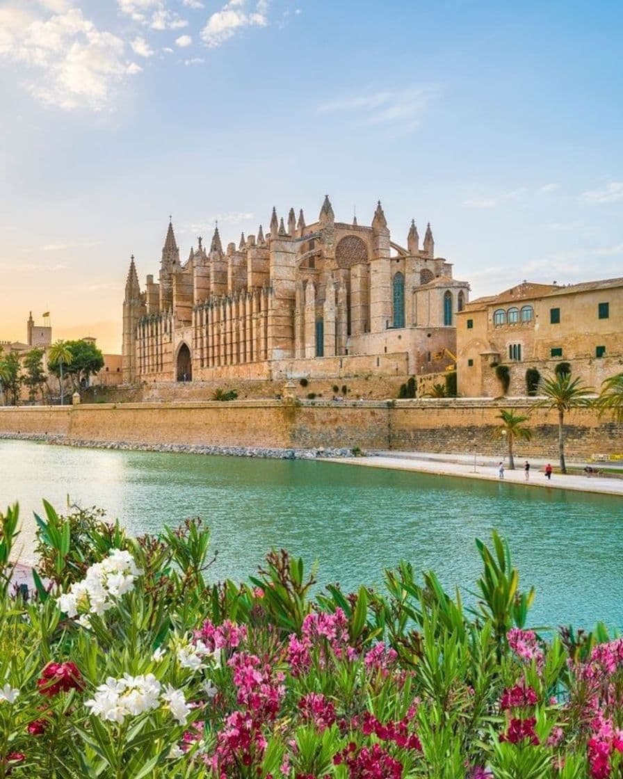 Lugar Catedral-Basílica de Santa María de Mallorca