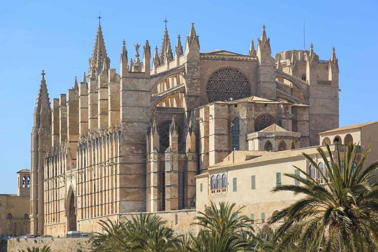 Place Catedral-Basílica de Santa María de Mallorca