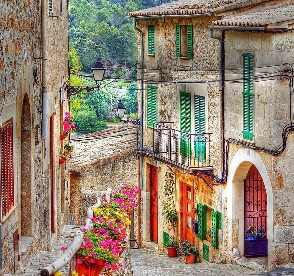 Place VALLDEMOSSA