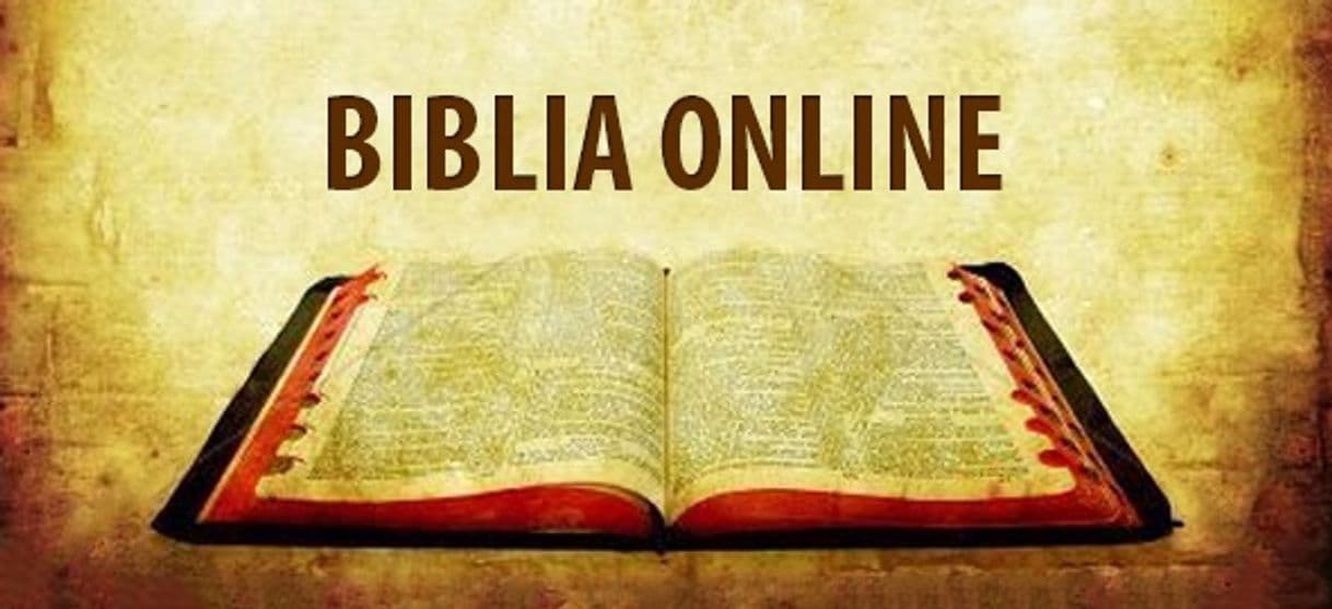 Fashion Biblia Online