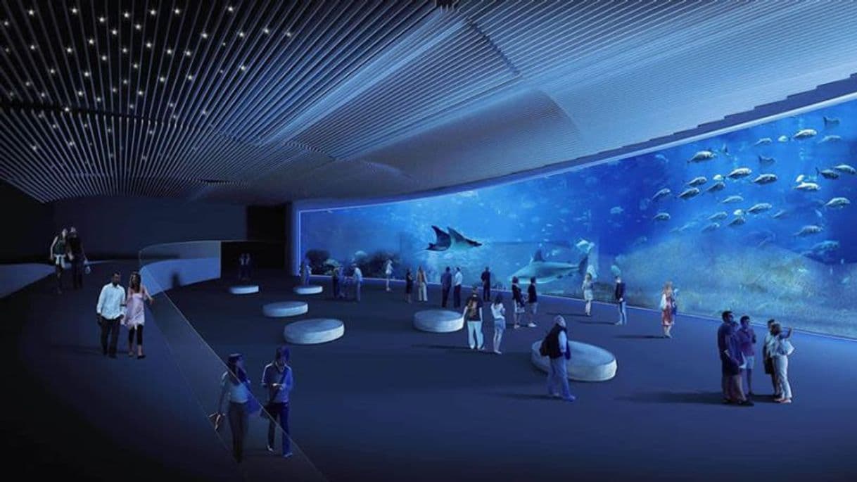 Lugar Poema del Mar Aquarium