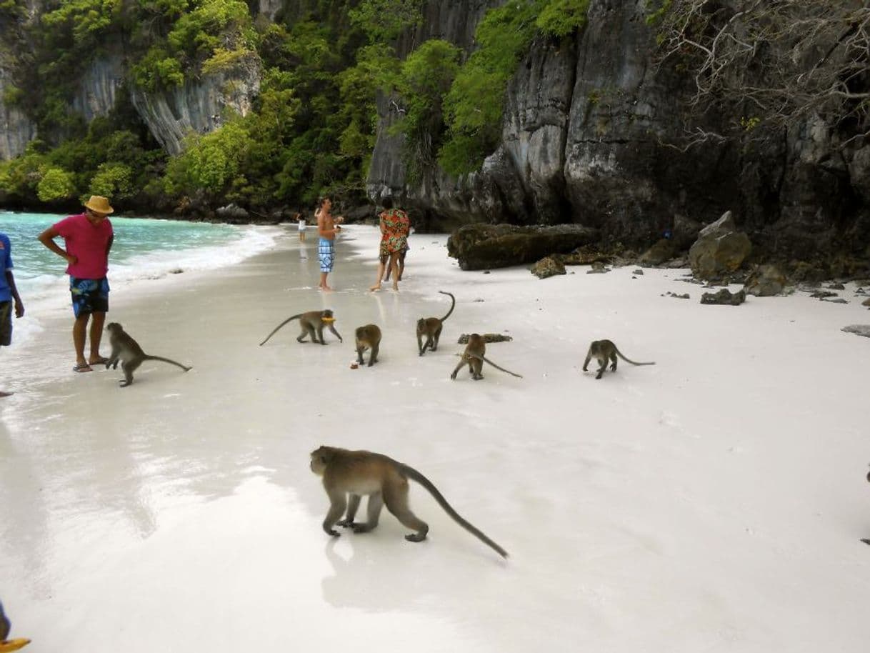 Lugar Monkey Beach