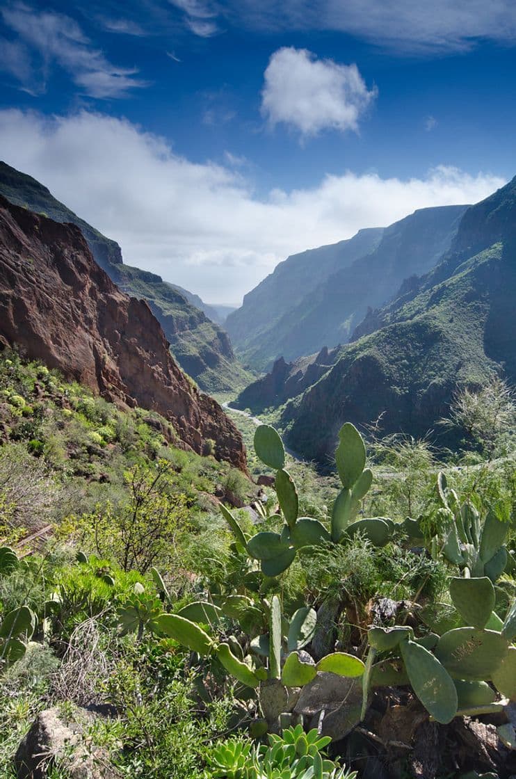 Lugar Barranco Guayadeque