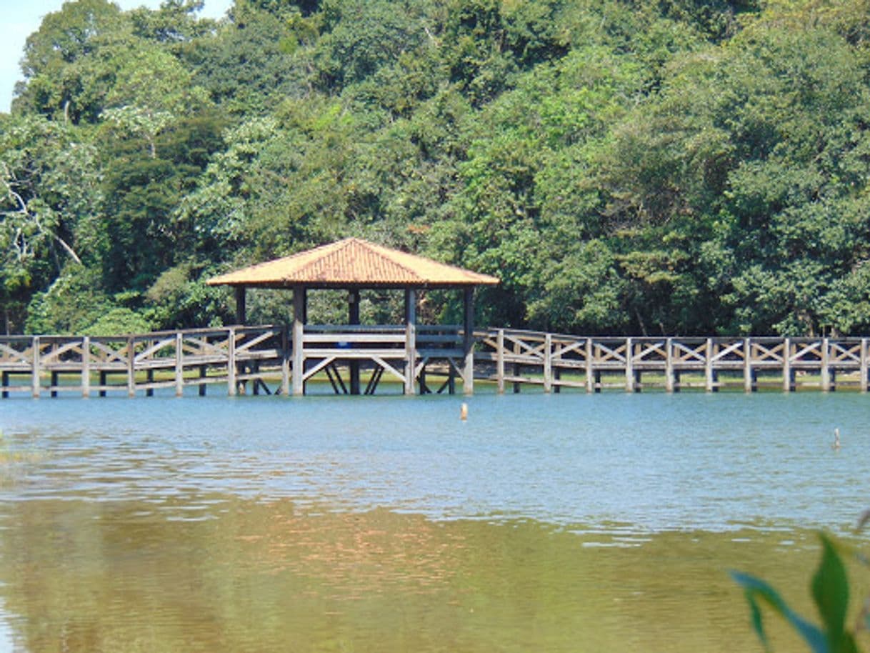 Lugar Parque Florestal de Sinop