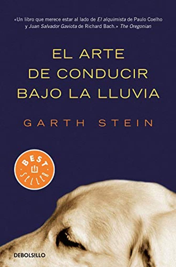 Libro El arte de conducir bajo la lluvia