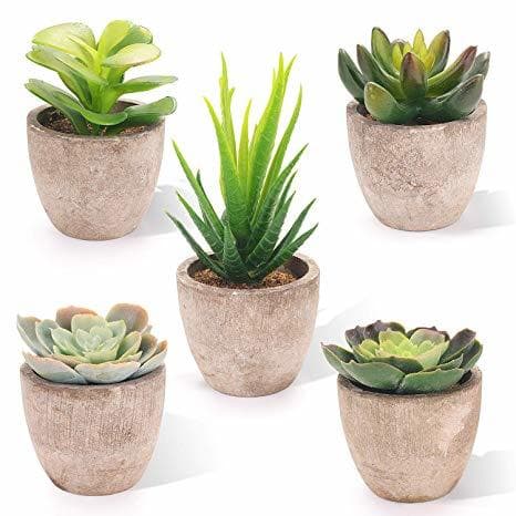 Product EEKONG Plantas Artificiales Suculentas Plásticas Flor pequeñas en Maceta para decoración del