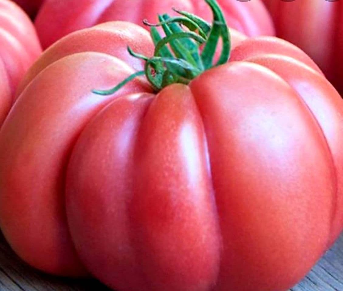 Moda Tomate Monterosa, de temporada, sabor a tomate de verdad. 👌