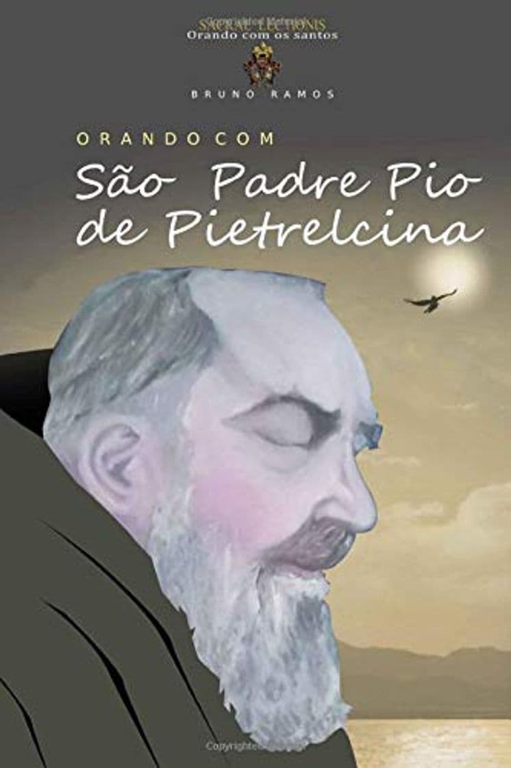 Libro Orando com Sao Padre Pio de Pietrelcina: Oracoes e novena: Volume 1