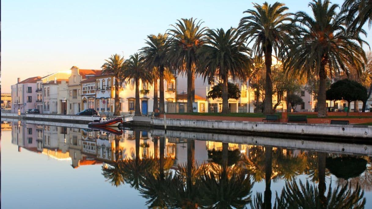 Lugar Jardim do Rossio