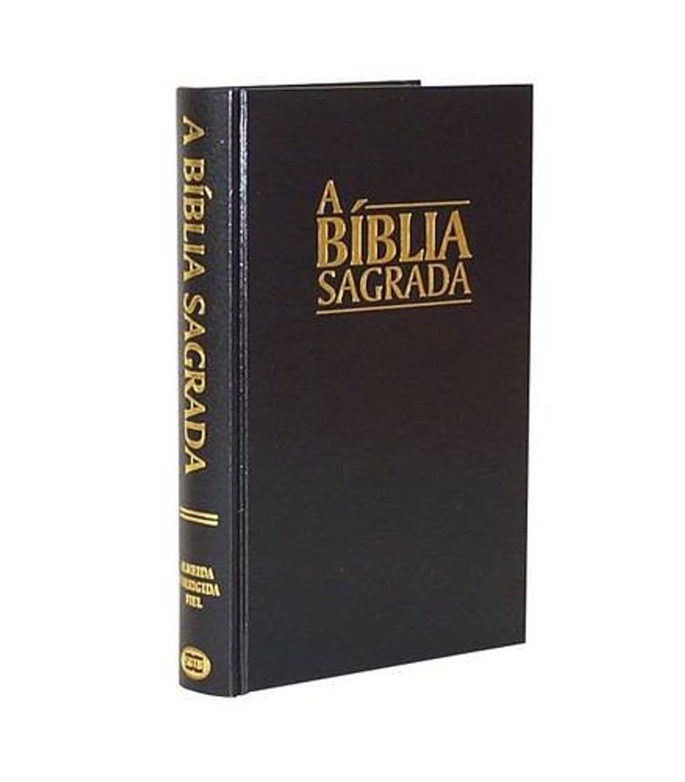 Book Large Print Portuguese Bible (Almeida Revised): Brazilian Portuguese: A Biblia Sagrada