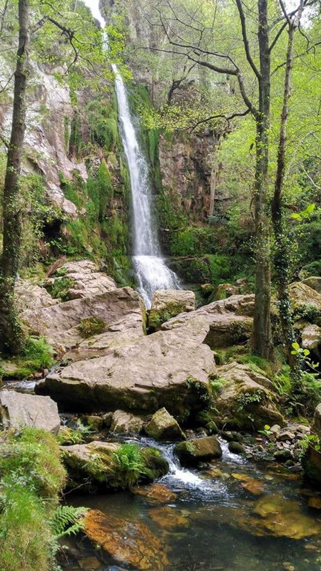 Lugar Cascadas de Oneta