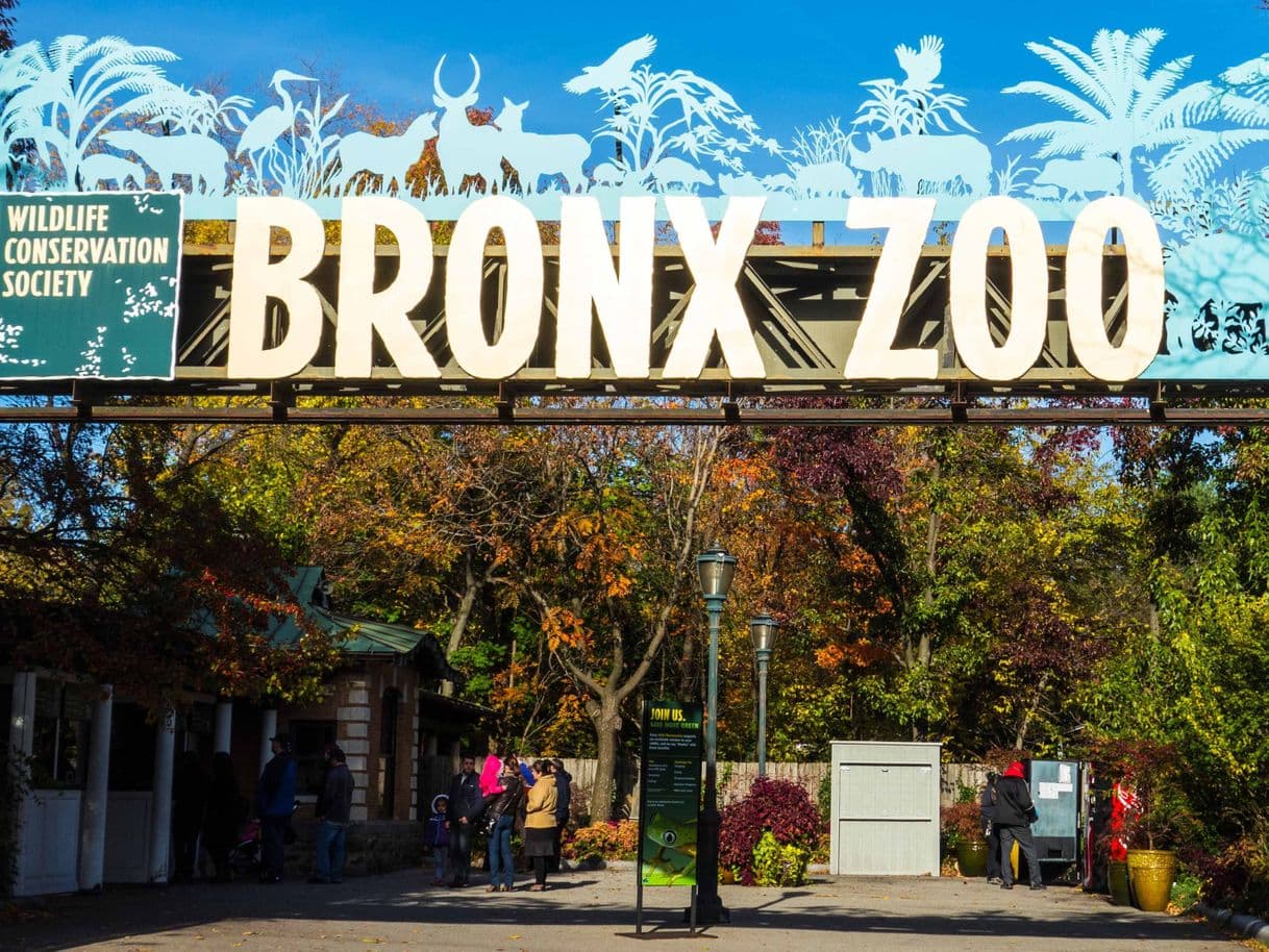 Place Zoológico del Bronx