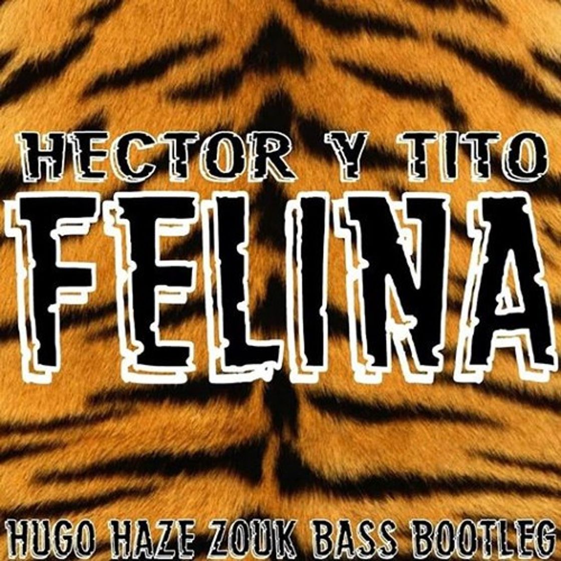 Canción Felina